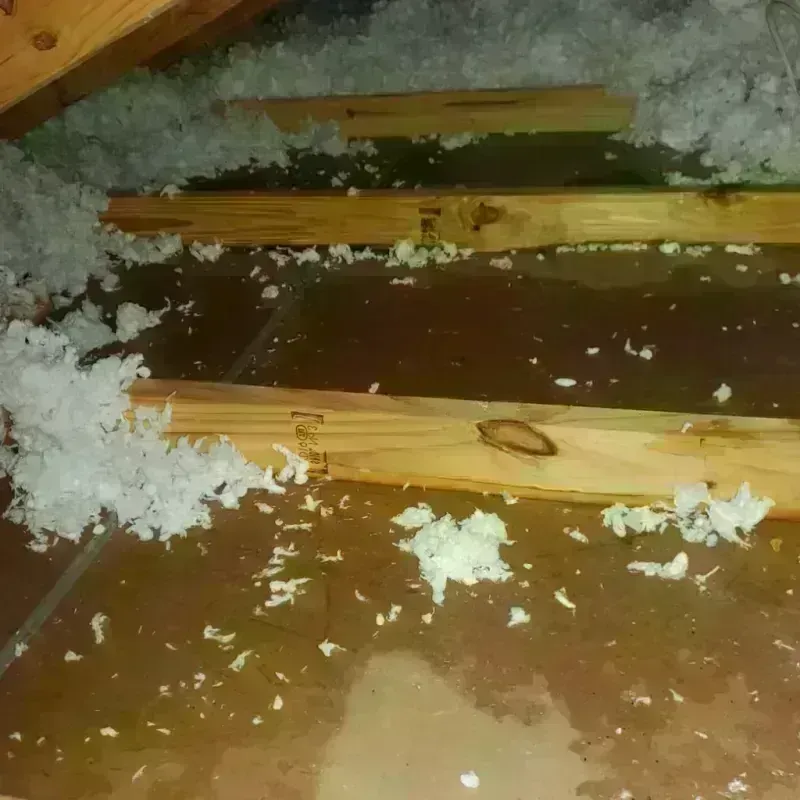 Attic Water Damage in La Crescenta-Montrose, CA